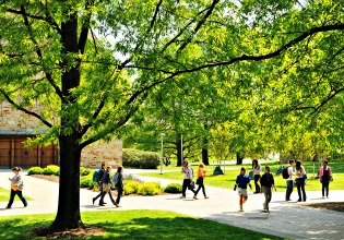 Summer Orientation