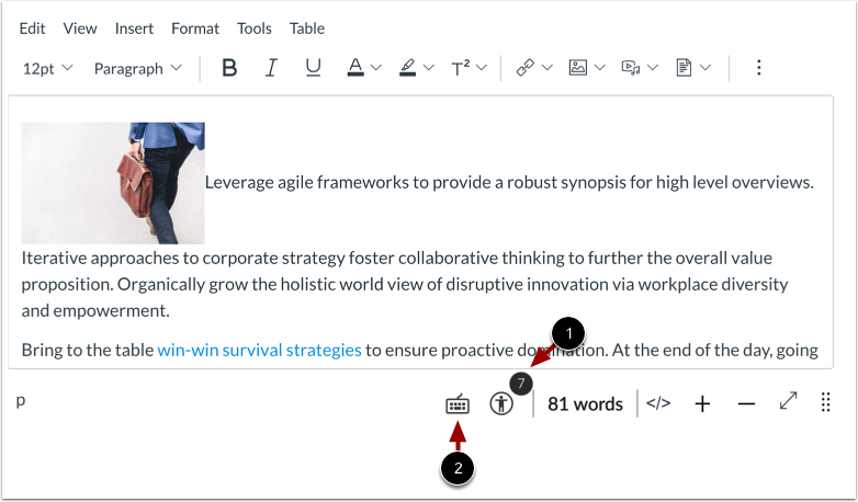 Canvas Accessibility Checker Screenshot