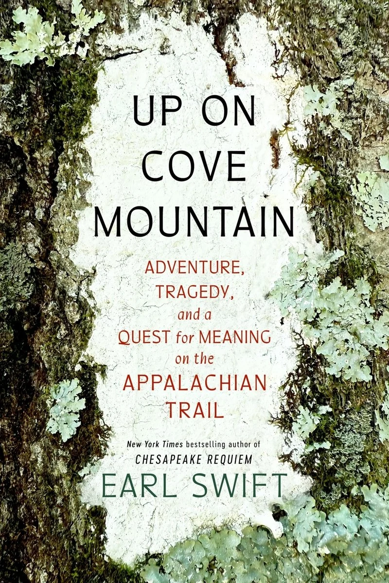 Book cover for Up on Cove Mountain